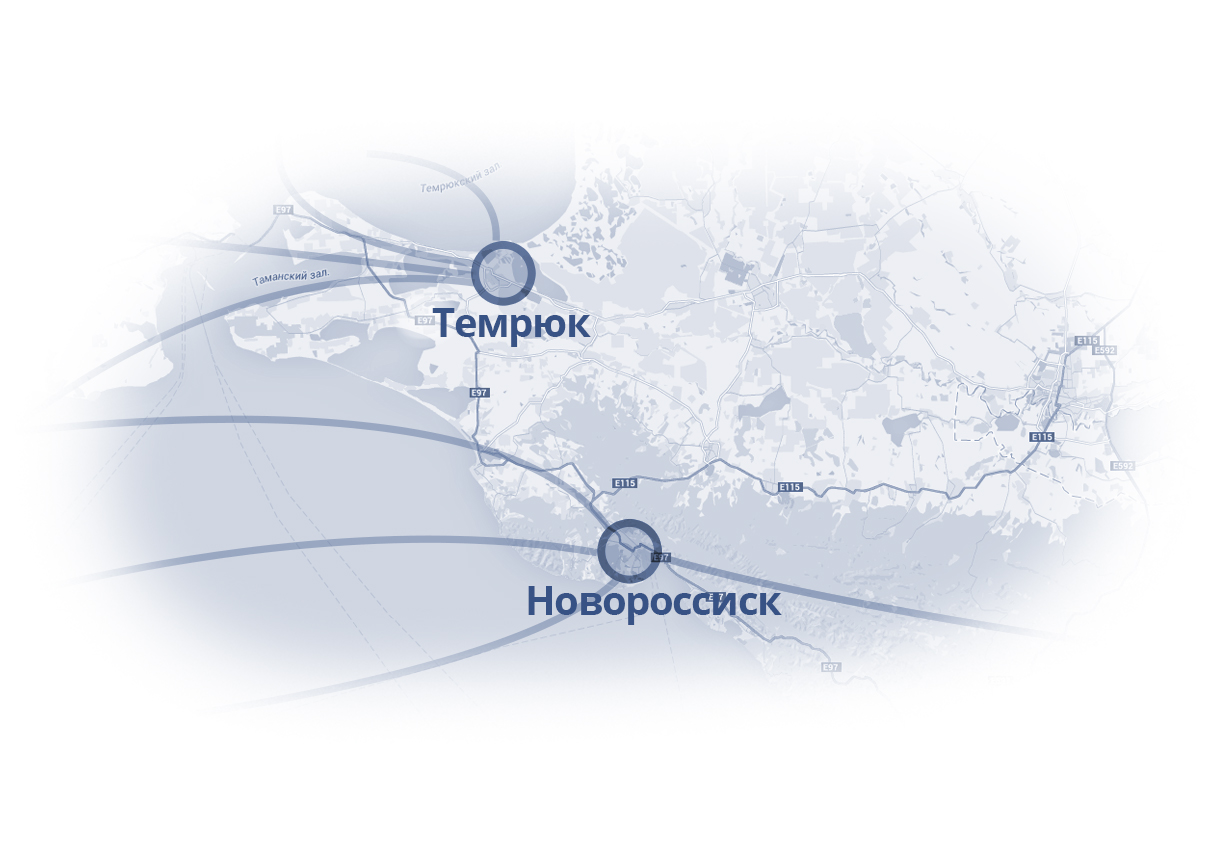 Компания ТБИ осуществляет перевалку растительного масла в портах городов Новороссийск и Темрюк.